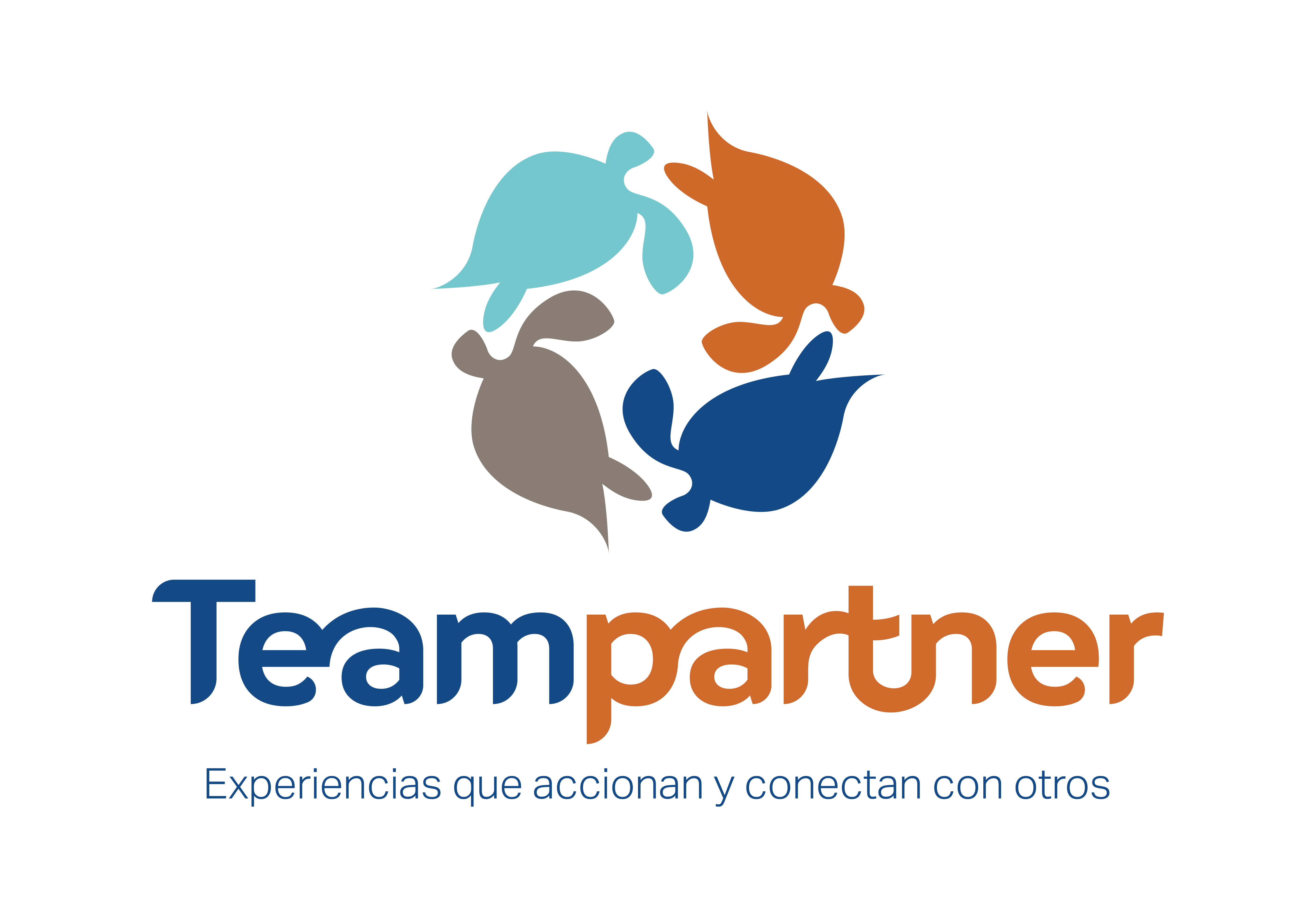 Teampartner